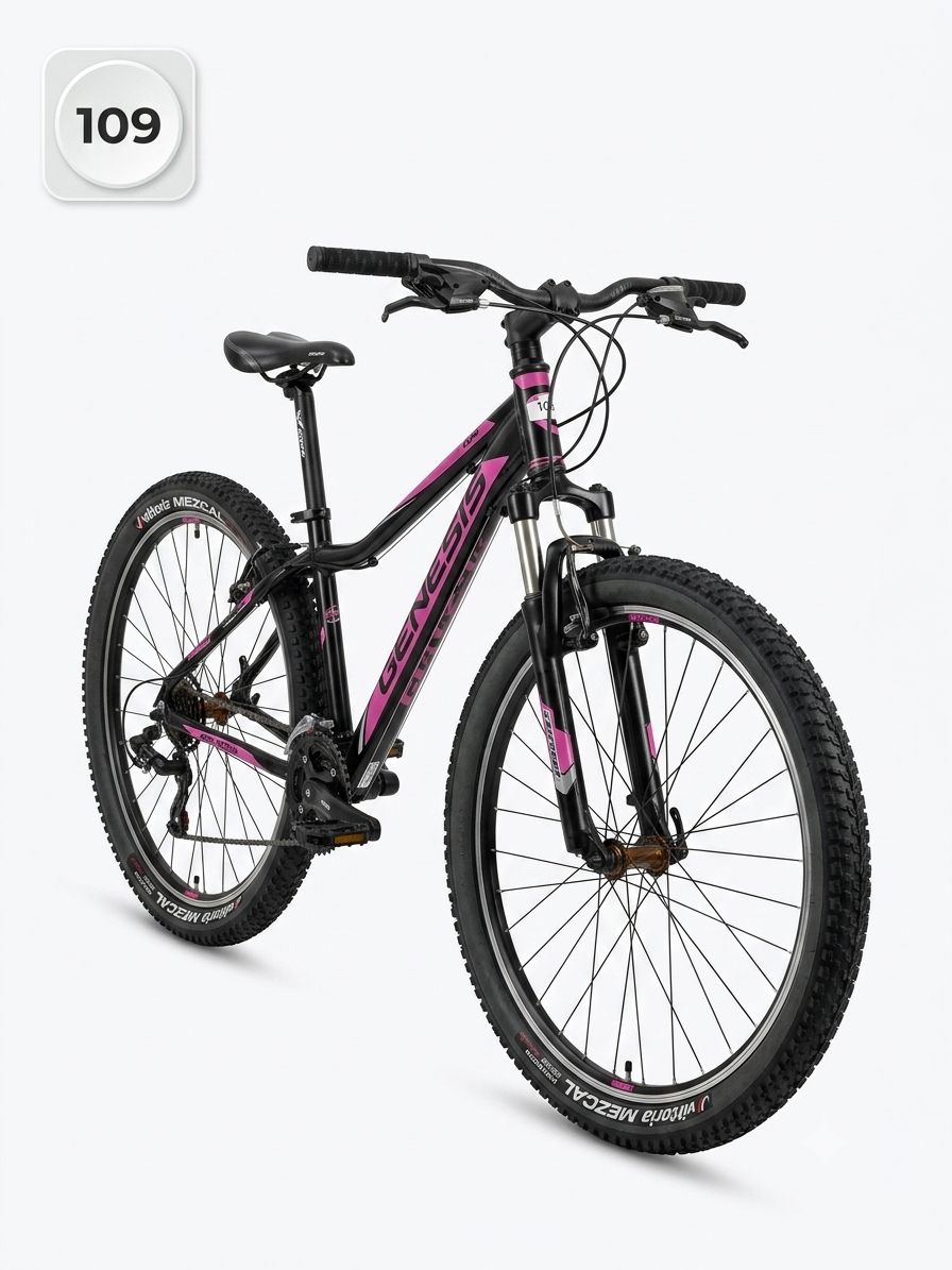 Standard bike
